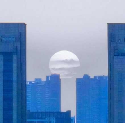 “生活在阴沟里，依然有仰望星空的权利，即使生活一地鸡毛，也要偶尔抬头看看月亮。”