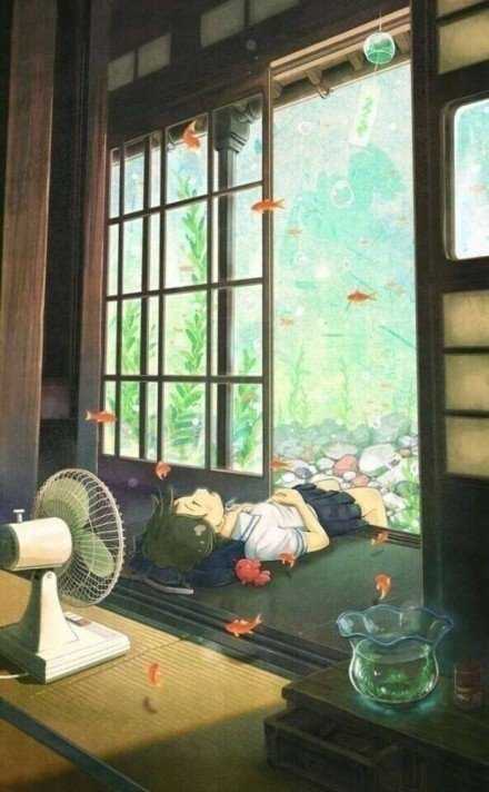 这个夏天，我要好好努力，安静成长，更加强大~