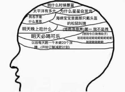 失眠时的脑子