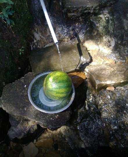 想起小时候，浮瓜沉李的夏天啊。
