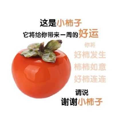 谢谢小柿子