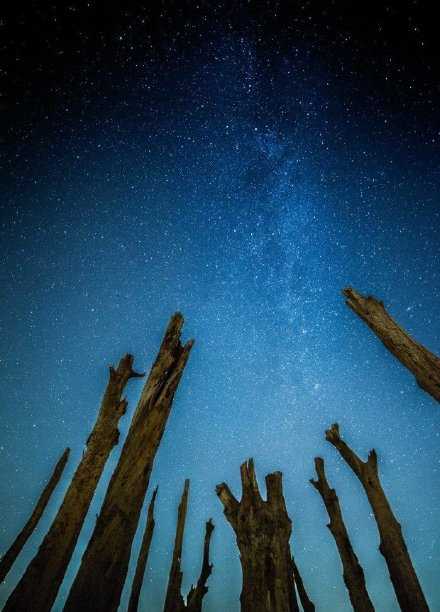 忽然发现，有时候一个人仰望的夜空，也可以很美。