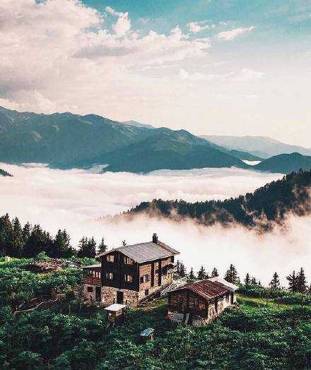 能够到达金字塔顶端的动物只有两种：一种是苍鹰，一种是蜗牛。苍鹰之所以能够是因为它们拥有傲人的翅膀；而慢吞吞的蜗牛能够爬上去就是认准了自己的方向，一直在为这个方向专注和坚持，不为道路上的小风景停留下来，它们要的就是最高的位置，看到最好的风景！