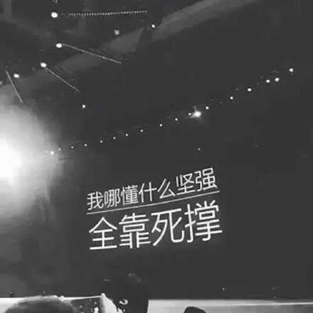 我哪懂什么坚强，全靠死撑！