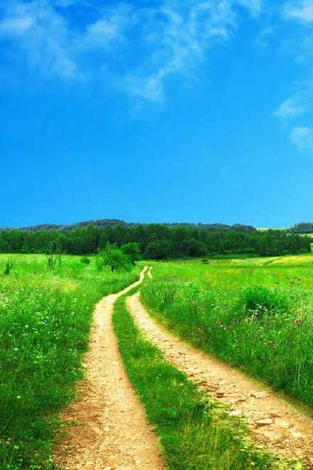 走自己的路，看自己的风景，这就是人生。早安。