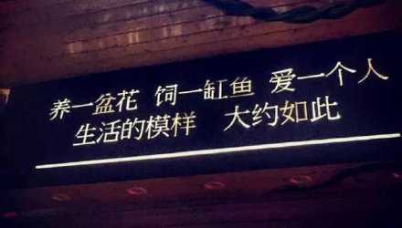 久伴必定生情，多言始于厚爱。