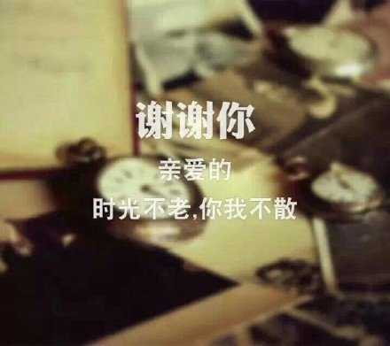感谢一路有你，向阳向暖，未曾离开。
