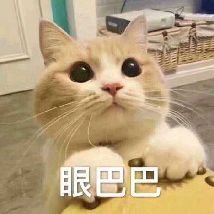 能有一个人可以每天耐心地听我讲那么多废话 听完后不敷衍几句了事 还能够继续耐心地回应我 真好啊