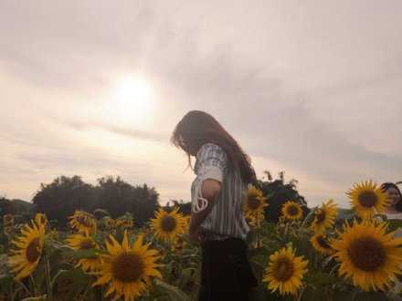 盛夏如花，向阳不变。
