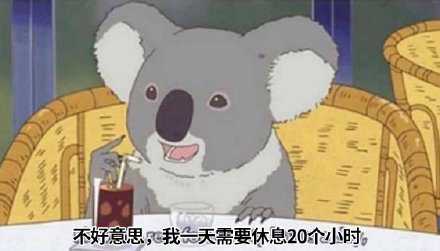 周末最重要的安排是：躺在家里吹空调~