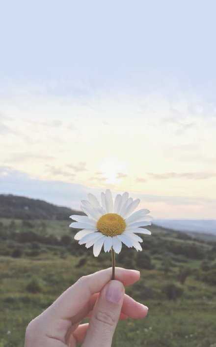 真正在乎你的人口袋里总是会有糖而不是大道理 他知道江湖艰险并且只想照顾好你