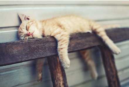 早睡的人 完美的避开了 每晚猝不及防的情绪上涌和辗转反侧