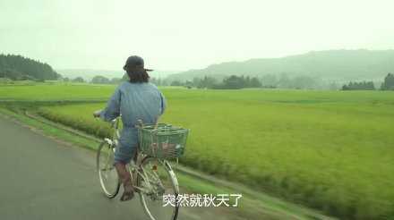 突然就秋天了