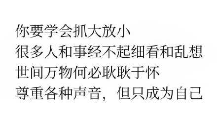 尊重各种声音，但只成为自己。