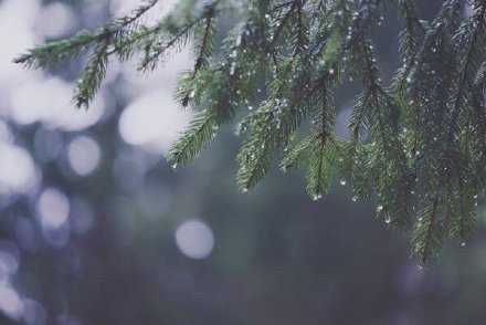 一进入九月，就开始期待“一夜秋雨一夜凉”了。