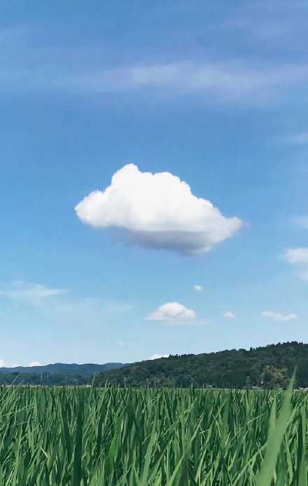 不纠结于现在，不忧虑于未来。人生中不存在任何必须的事情，只存在不必要的期待。没有任何期待和面子的人生是美好和自由的，因为这样，人才能听到自己的心。早安。