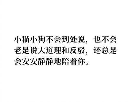 跟小猫小狗做倾诉的同伴。