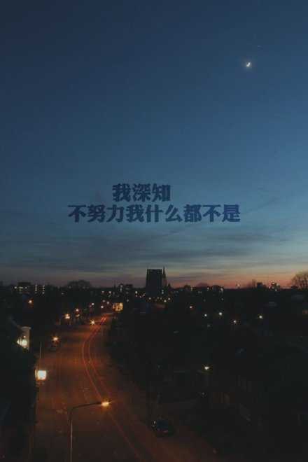 如果不是天才，那只能更加努力。