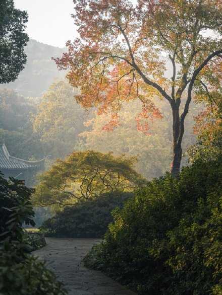 夏天过去就过去吧，反正我们还有秋天。