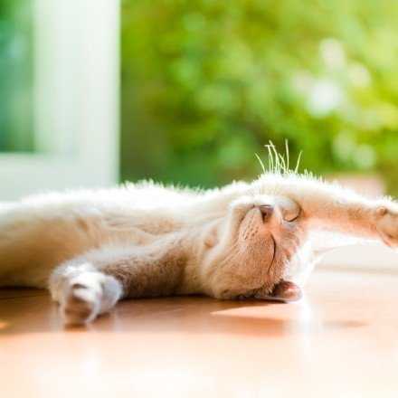 没有永远的晴天，也没有永远的雨季。晴天晒晒太阳，雨天听听雨声，这就是心情。