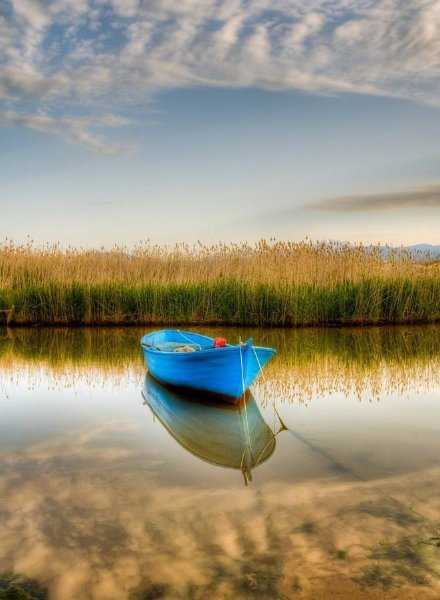 所有逆境时得到的援手，都是你在顺境时攒下的人品。气运高低起落，全是自己写好的剧本。从今天起，做自己的贵人！