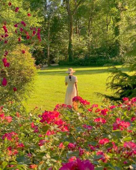 有人说喜欢你，三五天就消失了，有的人三五年不联系你，却还爱着你，这路遥马急的人间，我又能在你的心里待几年。