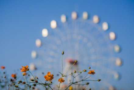 新的一天，新的出发，新的起点，愿所有的美好如期而至，愿所有的人生灿烂绚丽，愿所有的理想终将实现！携手共进，一起奔跑，未来会更美好！早安。