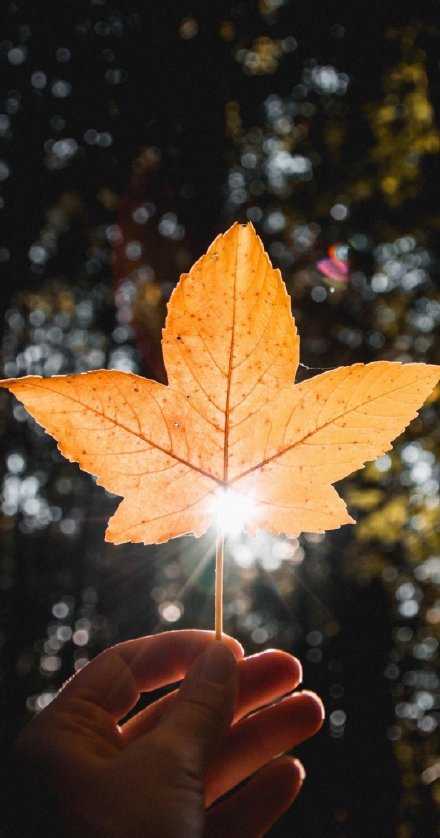 夏天总是有很多遗憾，每次夏天结束的时候，都有一种碌碌无为的感觉。