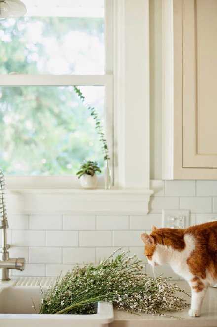 一定要幸福哦，别人不给你幸福没关系，幸福一向是自己给的。