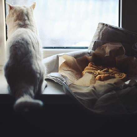 走到途中才忽然发现，我只剩下一副模糊的面目，和一条不能回头的路。