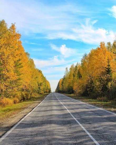 除了生老病死，人生里真正重要的事，其实没有几件。没必要为了小事愁容满面，也没必要去跟小人争个长短。记得对自己好点儿。早安。