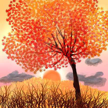 愿你夏天所有的遗憾，都是这个秋天惊喜的铺垫。