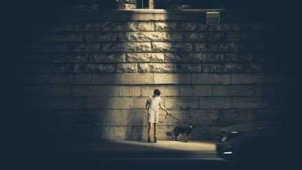 所谓理想与现实之间的差距，就是夹起来以为是块肉，咬下去才知道原来是块姜。