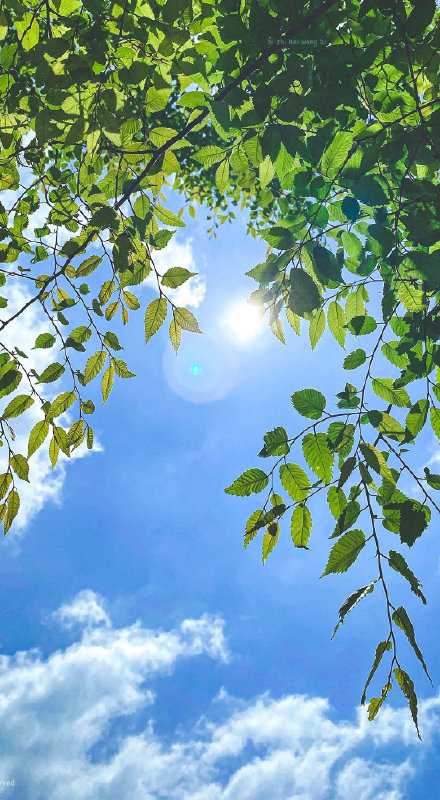 吃想吃的饭、见想见的人，看喜欢的风景、做自己喜欢的事。