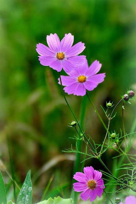 没有人可以回到过去从头再来，但是每个人都可以从今天开始，创造一个全新的结局。早安。