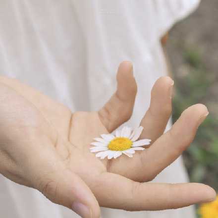 我总觉得，所有大张旗鼓对你好的人，都值得警惕。关怀不是表演给人看的，温柔应该放在心里。若总怕别人不晓得自己的善举，多半是别有所图。