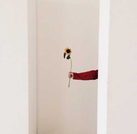 不要把获得快乐的可能性寄托在他人身上 自给自足 不会失望