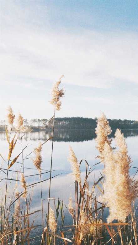 日出东海落西山，愁也一天，喜也一天；遇事不钻角尖，人也舒坦，心也舒坦。