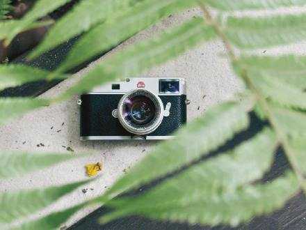 照片是人唯一可以锁住时间的方式