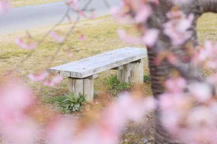 每个人的心里，都藏着一个了不起的自己，只要你不颓废，不消极，一直悄悄酝酿着乐观，培养着豁达，坚持着善良，只要在路上，就没有到达不了的远方，早安！