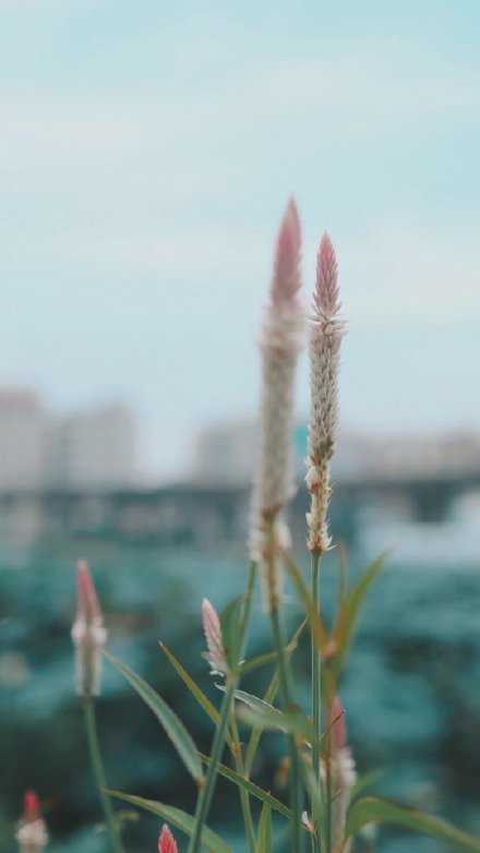 金钱的好处就是 能让你的烦恼变得高级一点