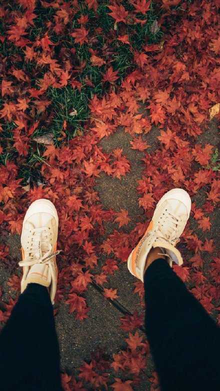 明智的放弃胜过盲目的执著。