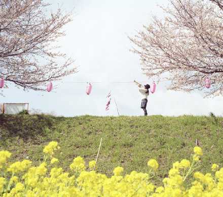 向未来张望的时光，或许孤独而漫长，希望努力过后，都是晴朗。