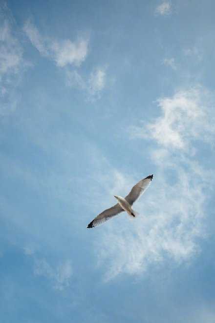不是世间所有的才华都要有人欣赏，不是所有的热爱都要虚张声势。沉默不代表平庸，反倒是怀揣着秘密静静地生活，自由而开阔。