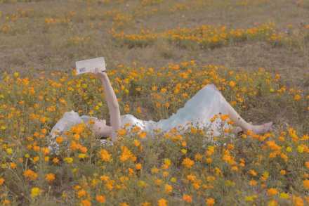 人处在一种默默奋斗的状态  精神就会从琐碎生活中得到升华