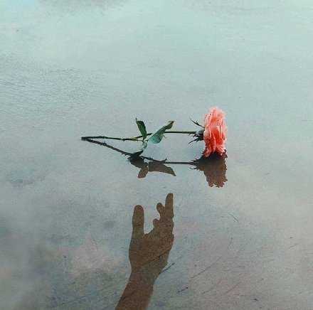 爱是想要触碰又收回的手。