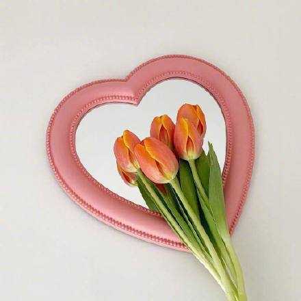 珍贵的东西往往都是易碎的。