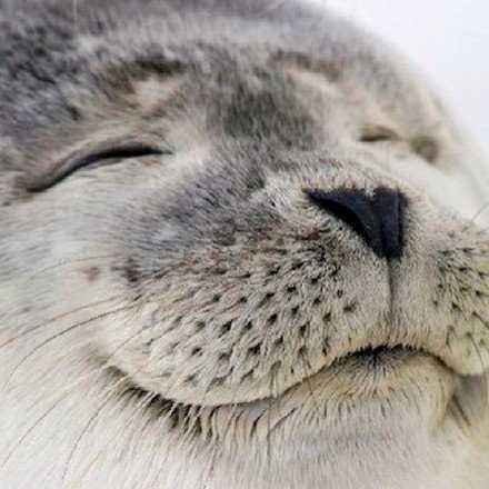 啊…我貌似闻到了放假的味道…