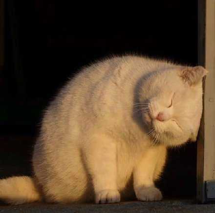 秋是慢入的 但冷是突然的  晴不知夏去 一雨方知深秋