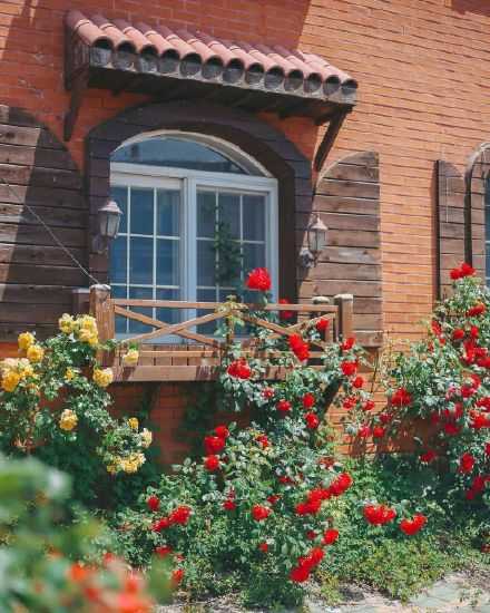 治愈生活的良方 就是保持对生活的热爱